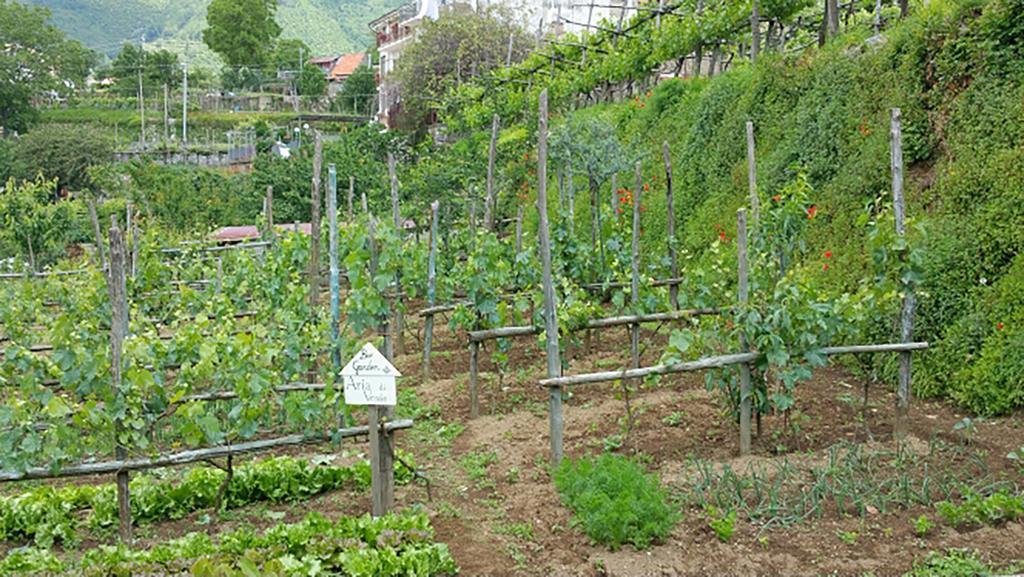 Appartamenti Aria Di Verde Agerola Exterior photo